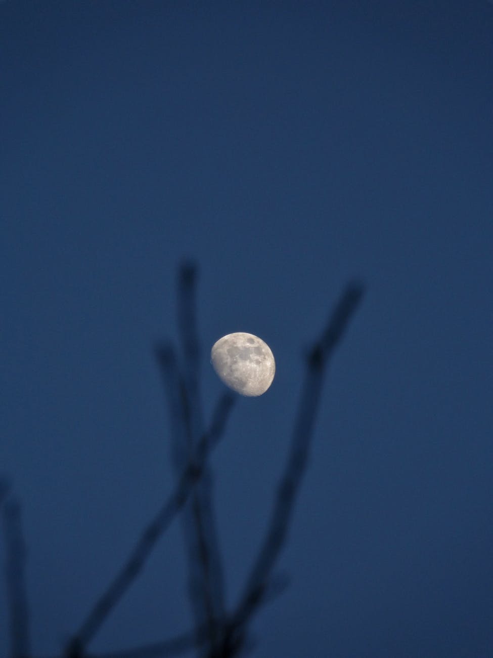 Waxing Gibbous — Cultivating&nbsp;Abundance