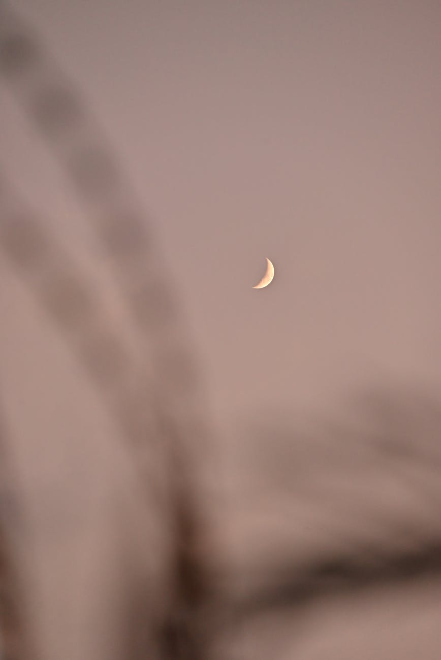 Waxing Crescent — Tending the&nbsp;Spark