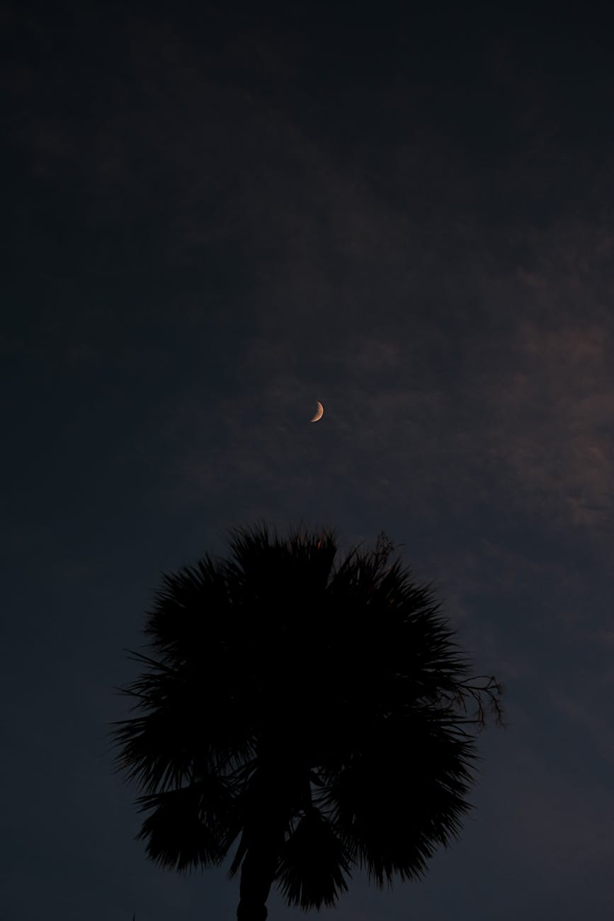 New Moon in Gemini at 6° – Planting Seeds of Curiosity, Courage, and&nbsp;Connection